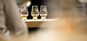 dégustation de rhum