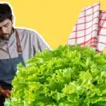salade verte, torchon et un homme qui cuisine
