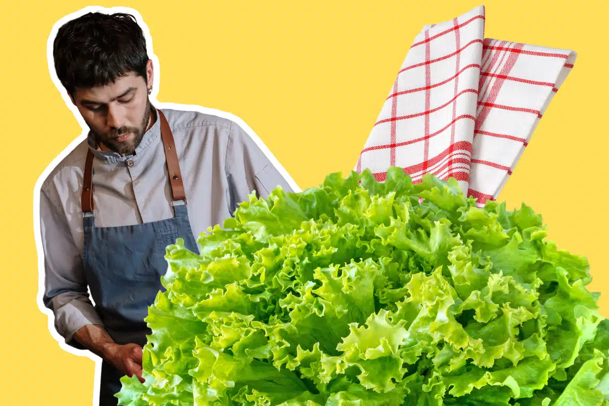 salade verte, torchon et un homme qui cuisine