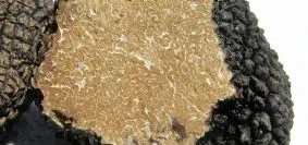 Comment acheter une belle truffe ?