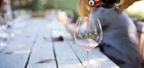 Le Barbaresco : un vin rouge italien au caractère unique