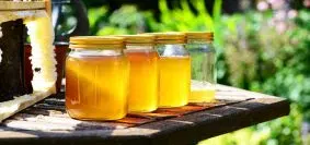 Les meilleures confiseries de Provence à découvrir
