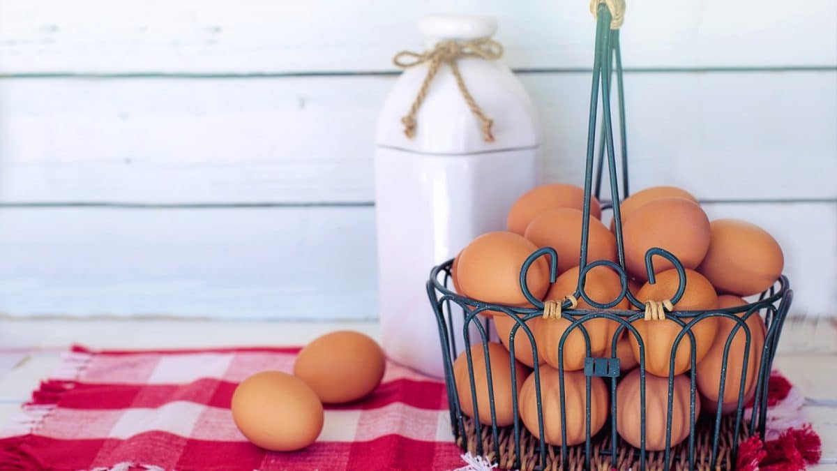 Quelle est l'importance de manger des oeufs frais ?