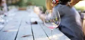 vins